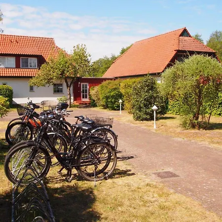 Doppelhaus-9-strandkorb Feriehus